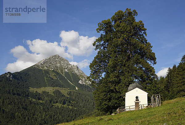 Ochsenwaldkapelle auf Ochsenwaldalm und Großer Pyhrgas  Spital am Pyhrn  Region Pyhrn-Priel  auch Pyhrn-Eisenwurzen  Traunviertel  Oberösterreich  Österreich  Europa