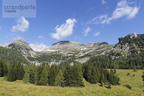 Wurzeralm  Berge Warscheneck und Toter Mann  Spital am Pyhrn  Region Pyhrn-Priel  auch Pyhrn-Eisenwurzen  Traunviertel  Oberösterreich  Österreich  Europa