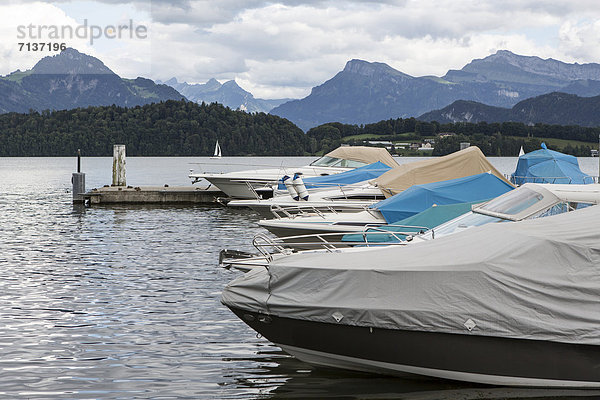 Boote auf dem Vierwaldstättersee in Meggen  Luzern  Schweiz  Europa