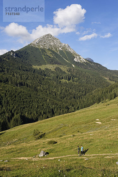 Ochsenwaldalm und Großer Pyhrgas  Spital am Pyhrn  Region Pyhrn-Priel  auch Pyhrn-Eisenwurzen  Traunviertel  Oberösterreich  Österreich  Europa