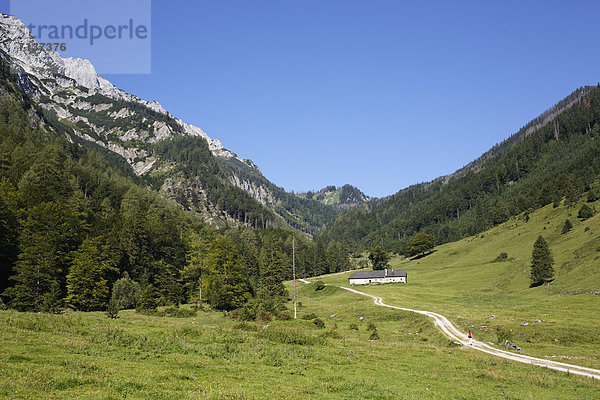 Blumauer Alm  Sengsengebirge im Nationalpark Kalkalpen  Region Pyhrn-Eisenwurzen  Traunviertel  Oberösterreich  Österreich