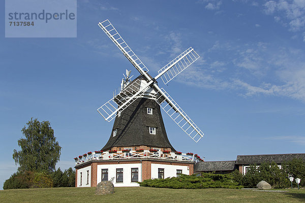 Windmühle  Klütz  Mecklenburg-Vorpommern  Deutschland  Europa