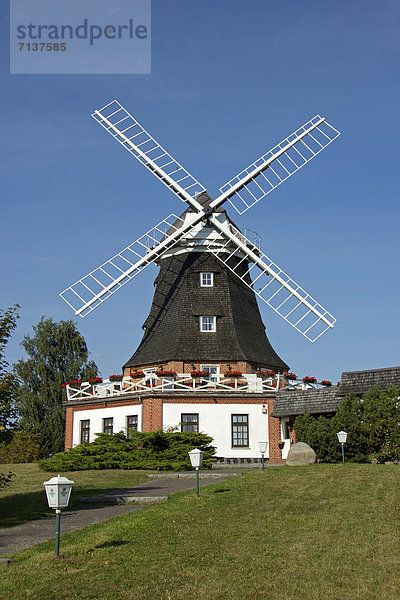 Windmühle  Klütz  Mecklenburg-Vorpommern  Deutschland  Europa