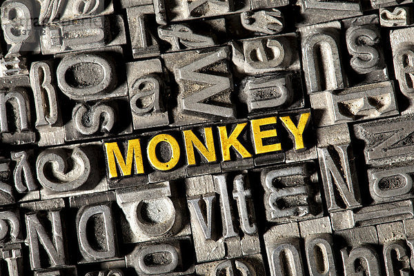 'Alte Bleilettern bilden das englische Wort ''MONKEY'''