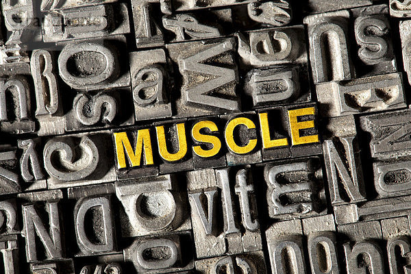 'Alte Bleilettern bilden das englische Wort ''MUSCLE'''