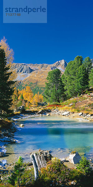 Berglandschaft mit Bäumen und See bei Ischgl  Tirol  Österreich