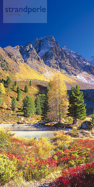 Berglandschaft mit Bäumen und See bei Ischgl  Tirol  Österreich