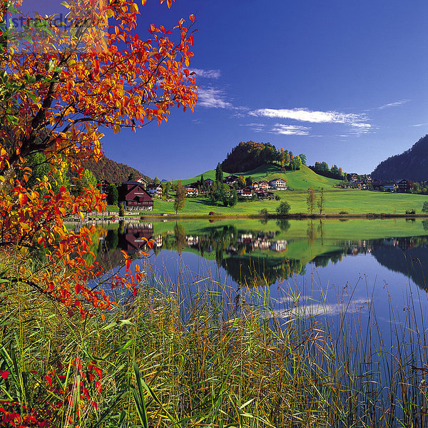 Herbstlicher Thiersee  Tirol  Österreich
