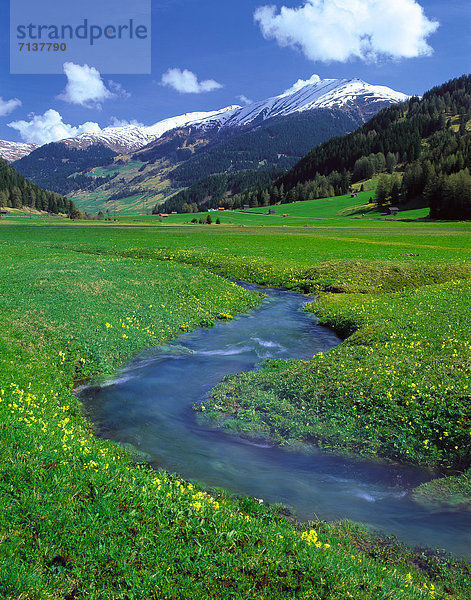 Bach durchquert eine Wiese  Nauders  Tirol  Österreich