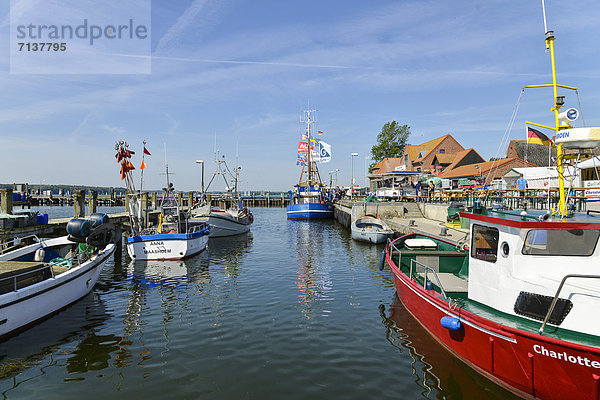 Hafen in Maasholm  Schleswig-Holstein  Deutschland  Europa