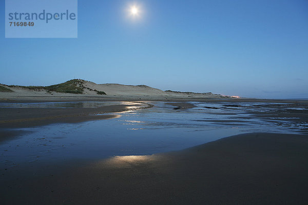 Atlantik  Atlantikküste bei Ebbe  Dünen  Dünenlandschaft  Strand im Mondlicht bei Naujac-sur-Mer  Region Aquitaine  DÈpartement Gironde  Frankreich  Europa