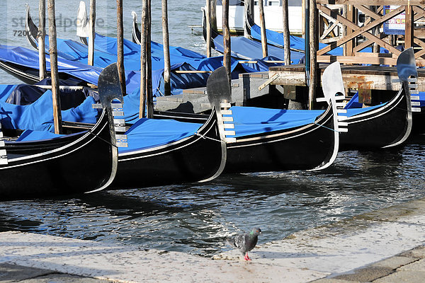Gondeln  Canal Grande  Stadtteil San Marco  Venedig  Venetien  Italien  Europa