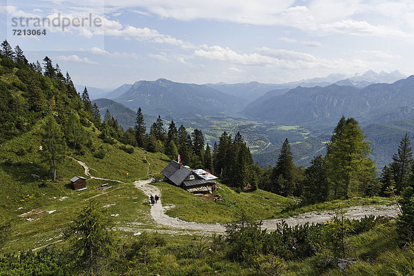 Katrin-Alm im Katergebirge bei Bad Ischl  im Tal Bad Goisern  Salzkammergut  Traunviertel  Oberösterreich  Österreich  Europa