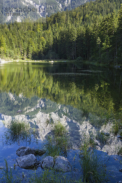 Frillensee am Eibsee mit Spiegelung der Zugspitze  Bayern  Deutschland  Europa