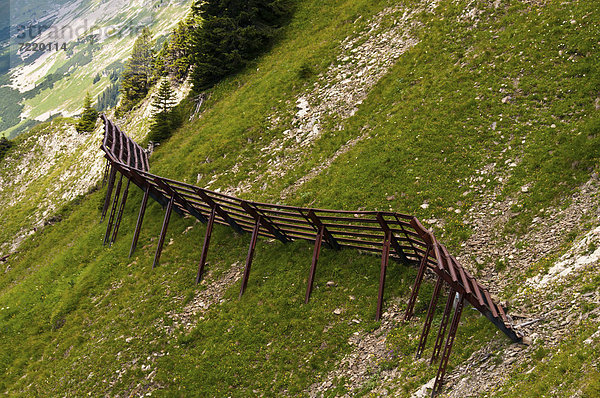 Stahlschneebrücken  Walmendingerhorn  Allgäuer Alpen  Vorarlberg  Österreich  Europa  ÖffentlicherGrund