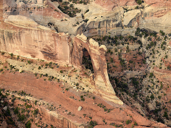 Luftaufnahme Angel Arch  Salt Creek  The Needles District  Canyonlands Nationalpark  Utah  Südwesten  Vereinigte Staaten von Amerika  USA