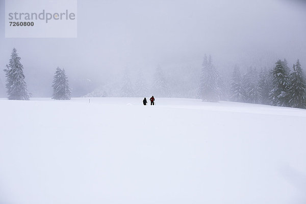 Schneeschuhlaufen über dem Feldberg  Deutschland  Europa