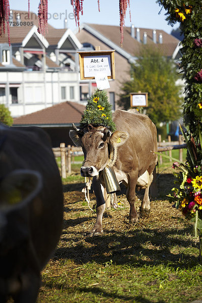 Heiden AR  Kanton Appenzell Ausserrhoden  Schweiz  Europa