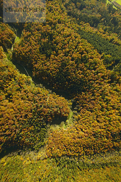 Wald und Tal  Hegau  Baden-Württemberg  Deutschland  Europa