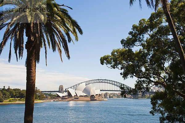 Hafen Brücke Garten Pazifischer Ozean Pazifik Stiller Ozean Großer Ozean UNESCO-Welterbe Botanik Australien New South Wales Sydney Sydney Opera House