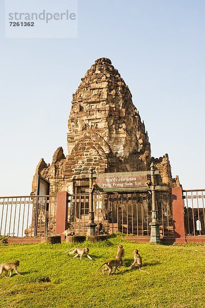 fünfstöckig  Buddhismus  Affe  Südostasien  Asien  spielen  Prang  Thailand