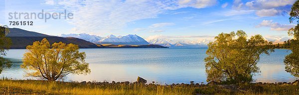 Panorama  Baum  See  Herbst  Pazifischer Ozean  Pazifik  Stiller Ozean  Großer Ozean  neuseeländische Südinsel  Neuseeland