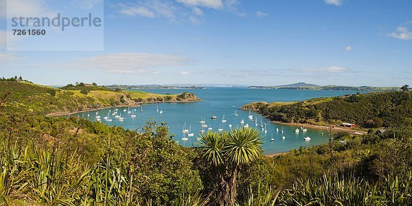 Segeln  Panorama  Boot  Insel  Pazifischer Ozean  Pazifik  Stiller Ozean  Großer Ozean  neuseeländische Nordinsel  Auckland  Neuseeland