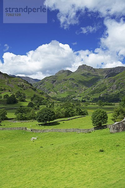 Europa  Großbritannien  Cumbria  England