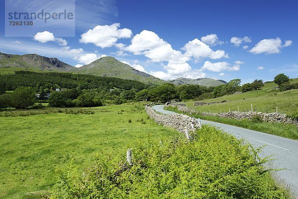 Europa  Großbritannien  Cumbria  England