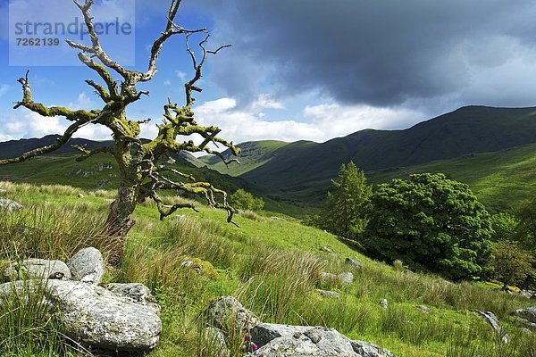 Europa  Großbritannien  Cumbria  England