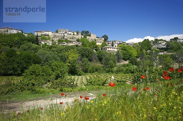 Frankreich  Europa  Provence - Alpes-Cote d Azur