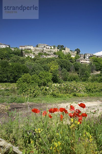 Frankreich  Europa  Provence - Alpes-Cote d Azur