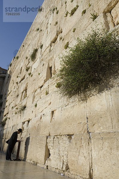 Jerusalem  Hauptstadt  Gebet  Naher Osten  russisch orthodox  russisch-orthodox  Israel