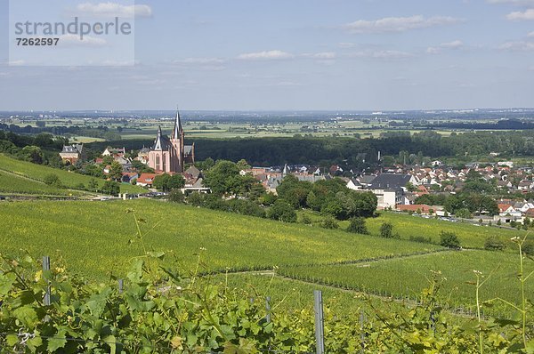 Europa  Wein  Tal  Stadt  Kirche  Ansicht  Deutschland  Oppenheim