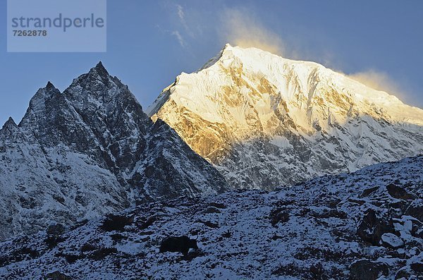 Yak  Bos mutus  Sonnenaufgang  Himalaya  Asien  Nepal