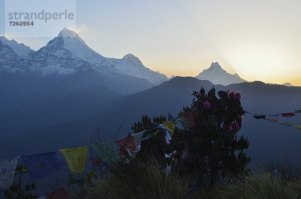 Hügel  Himalaya  Annapurna  Asien  Nepal