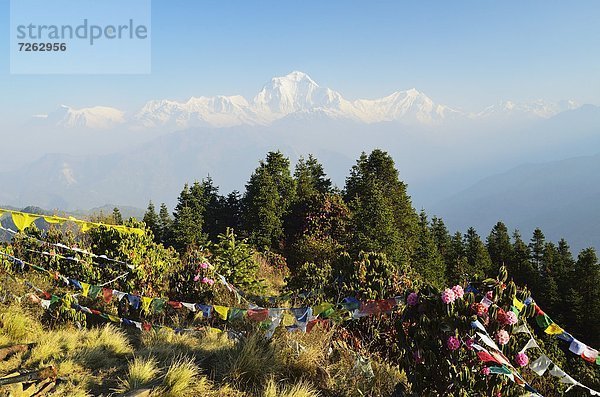 Hügel  Himalaya  Asien  Nepal