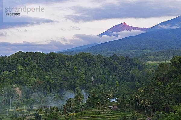 Ansicht  Berg  Südostasien  Asien  Indonesien  Lombok