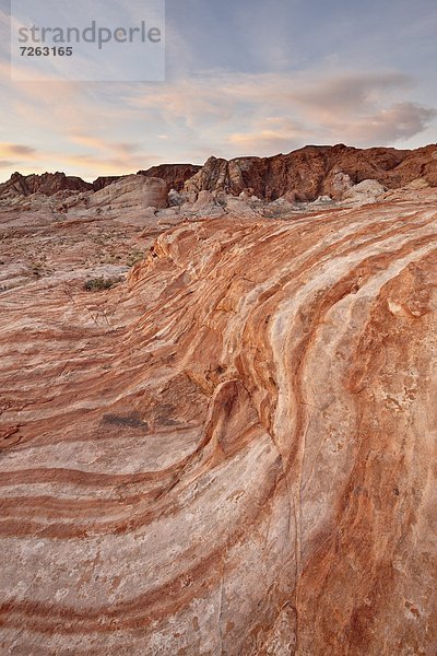 Vereinigte Staaten von Amerika  USA  Farbaufnahme  Farbe  Wolke  Sonnenaufgang  weiß  Nordamerika  Nevada  glatt  Valley of Fire State Park  Sandstein