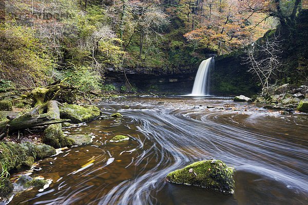 Europa  Großbritannien  Herbst  umgeben  Wasserfall  Brecon Beacons National Park  Laub  Powys  Wales