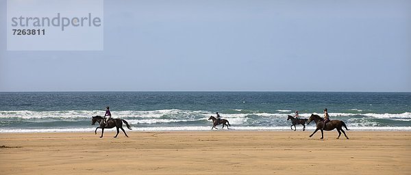 Europa Tag Strand Großbritannien Sand Galopp Cornwall England