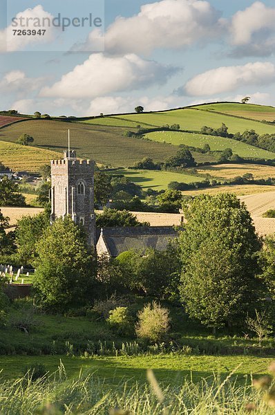 Ländliches Motiv  ländliche Motive  rollen  Europa  Großbritannien  Kirche  umgeben  Devon  England