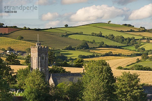 Ländliches Motiv  ländliche Motive  rollen  Europa  Großbritannien  Kirche  umgeben  Devon  England