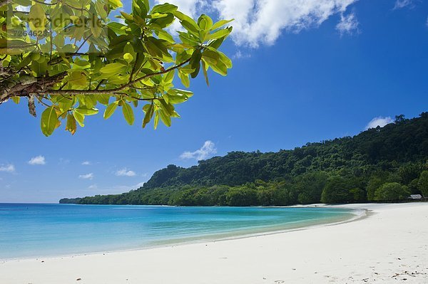 Wasser  Strand  weiß  Sand  Pazifischer Ozean  Pazifik  Stiller Ozean  Großer Ozean  türkis  Champagner  Vanuatu