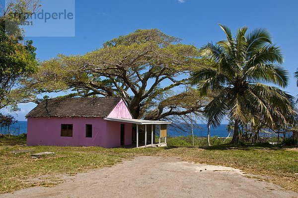 Wohnhaus Stadt Insel pink Pazifischer Ozean Pazifik Stiller Ozean Großer Ozean Vanuatu