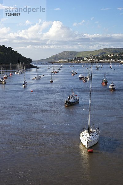 Mündung  Gewässer  Europa  sehen  Großbritannien  Fluss  groß  großes  großer  große  großen  Gwynedd  North Wales