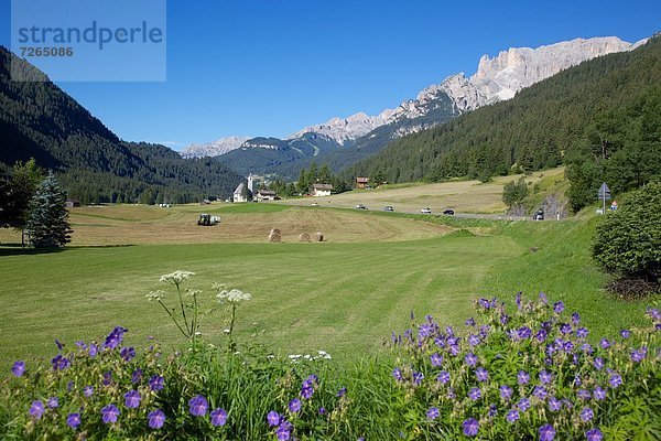 Europa  Trentino Südtirol  Canazei  Italien