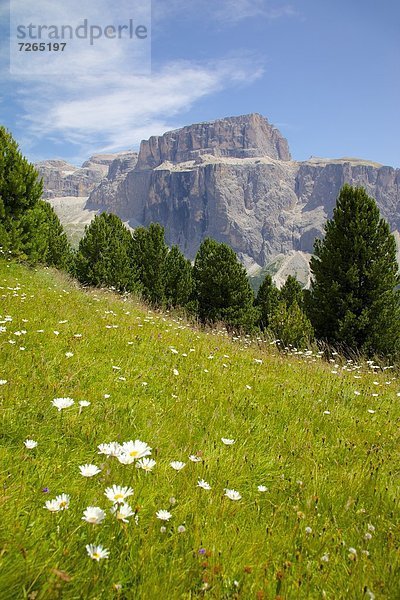 Europa  Italien