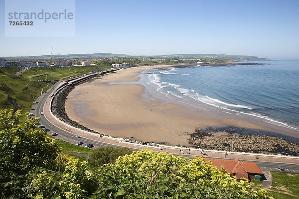 Europa  Großbritannien  Steilküste  hoch  oben  Yorkshire and the Humber  England  North Yorkshire  Scarborough