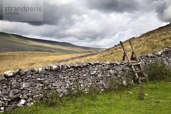 nahe  Steinmauer  Europa  Leiter  Leitern  Großbritannien  trocken  Yorkshire and the Humber  England  North Yorkshire